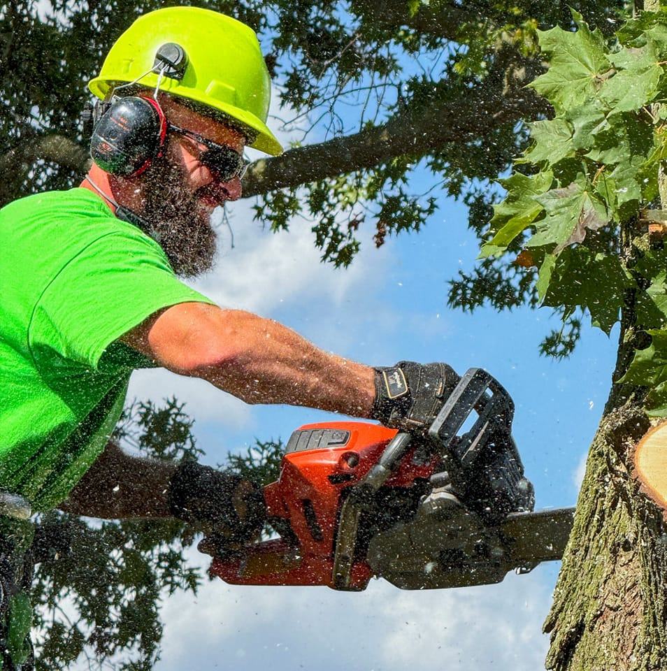 tree service in Fulton County