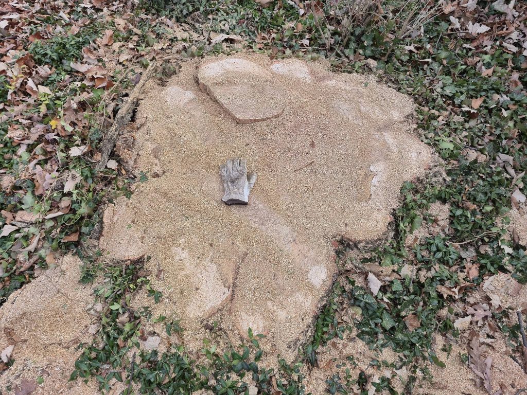Stump grinding by Mcqulin tree care in northwest ohio