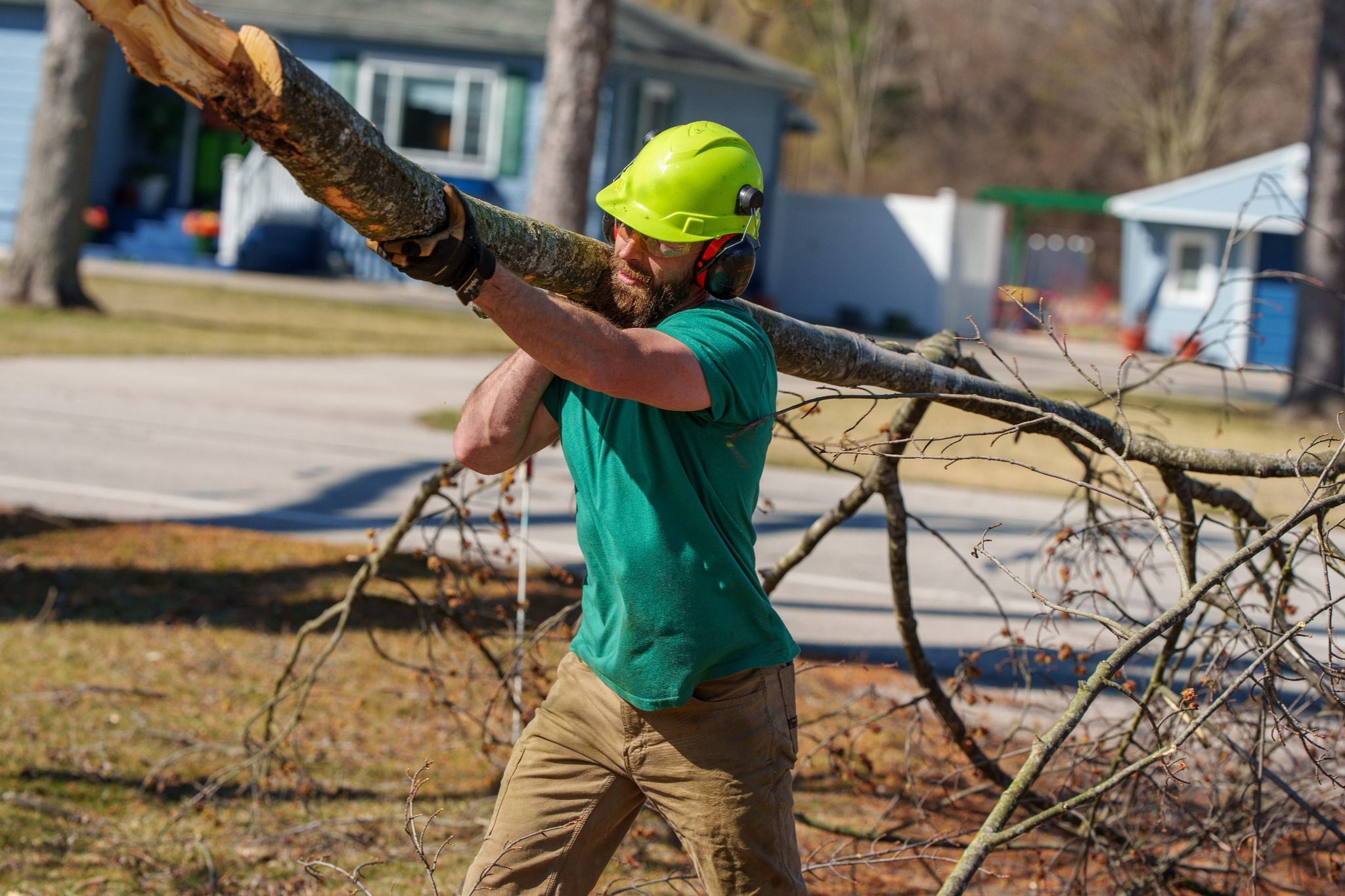 Mcquillin owner carrying another tree limb