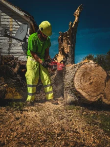 stump grinding in Fulton County
